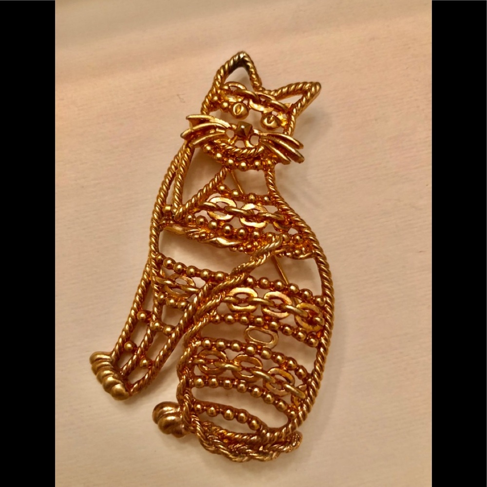 Cute Fancy cat pin